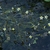 White flowers popping above the surface of water.