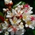 Cluster of white flowers with showy stamens that turn red.