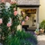 Large, pink, fully double rose trained on a wall.