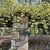A rose with 100s of pale-yellow flowers covering an arbor.