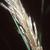 Plume close up