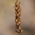 Brown capsules in January