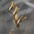 brown persistant calyxes on stem January