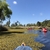 Kayakers & lake surface partially obstructed by a mat of fern.