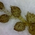 A chain of scaley ovoid structures.