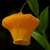 Close-up on a single bell-like orange flower