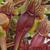 Sarracenia purpurea