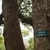 Bark detail