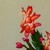 Form