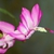 Form