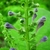 Square stem