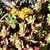 green and burgundy rosettes with yellow star like flowers
