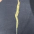 Seedhead in August in Breckenridge, Colorado