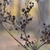 Seedpods in October in Moscow, Russia