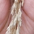 Frosty appearance seeds in October in Beijing, China