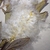 Seeds close-up in May in Volyn, Ukraine