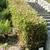 As a hedge