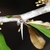 Stem with thorn