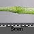 Sisymbrium irio