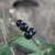 Dark purple round fruits