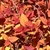 Bright orange leaves