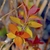 Emerging leaves are candy red in spring and transition to yellow