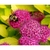 Flowers with bee