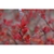 Spring leaves and stem