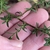Fingers cradling stem showing alternate branches & small leaves.