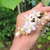 Styrax grandifolius