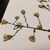 Achenes forming