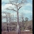 Spring form (Wakulla County, FL)-Early Spring