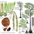 Color illustrations of the technical details of this species.