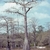 Bare tree in winter with flaring trunk base.
