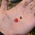 Hand holding pea-sized red arils and seeds.