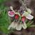 Tephrosia virginiana