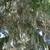 Tillandsia usneoides