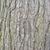 Bark