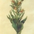 Form