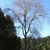 Winter form