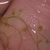 Close-up macro of a hand cradling the bladder traps.