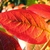 Fall leaf