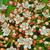 Flower Cluster