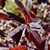 red serrated leaves in November