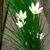 Form