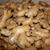 Ginger Rhizomes