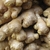 Rhizome of Z officinale