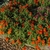 double orange flowers en masse