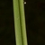 Square stem
