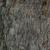 Bark